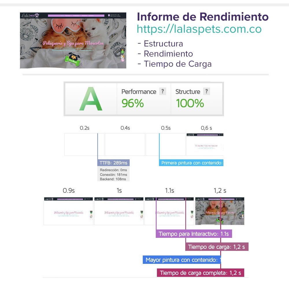 optimizacionwe-y-seo-informe-y-rendimiento